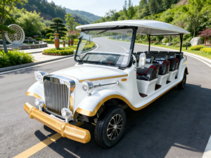 Voiture Classique Vintage 5-11 Places, Puissance Élevée, Forte Capacité de Montée, Longue Autonomie, Faible Consommation d'Énergie, Entretien Facile, Vente en Gros Directe - Product Image 1