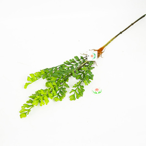 Tre forchette foglia di sedano erba artificiale <span class=keywords><strong>felce</strong></span> persiana appeso cesto di fiori decorazione <span class=keywords><strong>felce</strong></span>, erba artificiale - Product Image 1