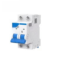 Interruptor de Aire CHINT NXB-63a, Interruptor Automático Pequeño de 2 Polos para Uso Doméstico, Interruptor Principal de 1 Polo para Aire Acondicionado, 3 Polos DZ47, 4 Polos
