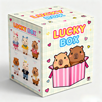 Emballage de boîtes aveugles de luxe personnalisées Boîte mystère en papier kraft pour bracelet en peluche cadeau surprise Boîte pliante écologique