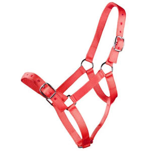 Licol pour cheval en nylon léger et réglable, ajustement fiable et confortable pour l'entraînement, l'équitation et le toilettage quotidien - Product Image 5
