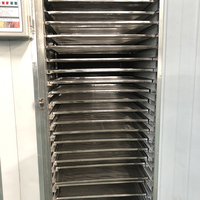 Professionele Dehydrator Fruit Industrieel Vlees Voedsel Cassave Commerciële Roestvrijstalen Groenten Dehydrator Machine