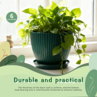 Pots à fleurs contemporains en PP avec trous de drainage, option suspendue, multi-tailles, ensemble de 6 pièces pour plantes d'intérieur