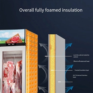 Vitrina Refrigerada Vertical Comercial de Una Puerta, de Acero Inoxidable, con Enfriamiento Directo por Aire, Eficiencia Energética A+, para Carne de Cerdo, Res y Cordero - Product Image 2
