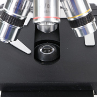 High Quality B078 Biological Binocular Microscope with Track Stand used in secondary school teaching