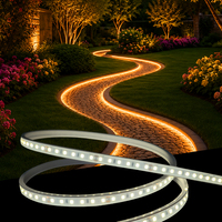 Bande lumineuse LED flexible en silicone, design fin personnalisé, découpable, étanche IP66, pour l'extérieur, les parcs, les allées