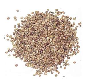 טהור טבע קנבוס תמצית זרעי קנבוס חלבון אבקה - Product Image 5