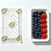 En stock, expédition rapide : Tampons absorbants jetables pour viande, tampons SAP de qualité alimentaire pour l'emballage des fruits de mer, des fruits et des produits frais
