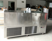 Professionele 1000Kg Grote Transparante Baksteen Ice Maker Prijs 5T 10 Ton Nigeria Commerciële Pure Crystal Ice Blok Maken machine