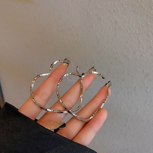 S925 argent aiguille boucles d'oreilles marché de nuit décrochage approvisionnement Corée du Sud mode explosion boucles d'oreilles niche boucles d'oreilles sauvages en gros - Product Image 6