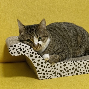Novo Design Sofá Forma de Papelão Scratchers Gato Grande Gato Arranhando Bordo Brinquedo Pad - Product Image 5