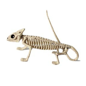 <span class=keywords><strong>Esqueleto</strong></span> <span class=keywords><strong>de</strong></span> Lagarto Camaleón <span class=keywords><strong>de</strong></span> 8 Pulgadas, Accesorio <span class=keywords><strong>de</strong></span> Halloween, Espeluznante - Product Image 2