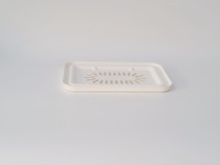Boîte à lunch jetable en pulpe de canne à sucre biodégradable et respirante