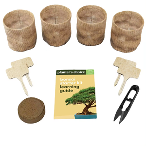 Jardinière <span class=keywords><strong>balcon</strong></span> salon vert pot de plantation chinois Zen bonsaï décoration pot de fleurs créatif - Product Image 2