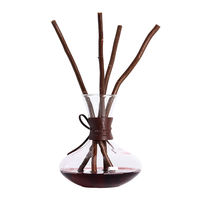 Diffuseur en verre de 500 ml en forme de carafe, avec bâtonnets diffuseurs, boîte cadeau, flacon de recharge, emballage personnalisé avec logo, cadeau d'entreprise, vente en gros