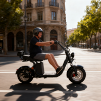 Scooter électrique Citycoco pour adultes, prix bas en Chine, 3000W 4000W, scooter Citycoco, scooter chopper, scooter électrique Citycoco