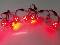 Lampes à pixels Carnival Pixel 26 mm 3 LED SMD5050 RGB programmables IP65, lampes à points LED RGB pour parc à thème, corps de lampe en PC