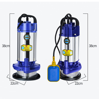 Pompe submersible automatique puissante de 3 CV en acier inoxydable avec raccord de tuyau flexible pour le drainage des piscines et des eaux de pluie