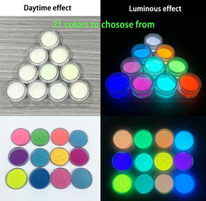 20g/bottiglia di pigmento luminoso a base d'acqua fotoluminescente 0.7 oz bagliore nel buio Kit di pittura bagliore nella polvere scura - Product Image 6