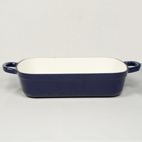 Plaque de cuisson en fonte émaillée 2025 Offre Spéciale Non toxique Moule à biscuits résistant au four Plateau de torréfaction robuste
