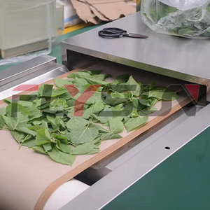 Máquina de Secado y Esterilización por Microondas a Precio de Fábrica, Equipo de Secado y Esterilización para Hojas de Morera, Hierbas y Hojas de Plantas - Product Image 5