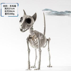Ngôi Nhà Ma Ám Halloween tối Khủng Bố Bộ xương động vật phát sáng trang trí đạo cụ con chó con chim con Khỉ Con Mèo quạ cá vịt ếch con rắn - Product Image 2