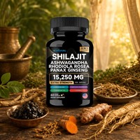 Capsules de Shilajit 60 comprimés Extrait de résine himalayenne pure Stimulant énergétique pour hommes et femmes OEM Étiquette privée
