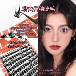 ขนตาปลอมลาคานาคุ 10 แถว รูปทรงดอกทานตะวัน ทำด้วยมือกึ่งสำเร็จรูป นุ่มเป็นธรรมชาติ แบบแบ่งส่วน - Product Image 3