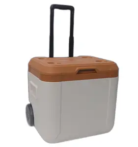 Fashion Style Large Capacity 52L Beer Wine Water Ice Can Portable Cold Chain Carrier Frozen Hard Cooler Box