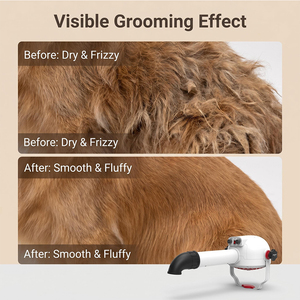 Secador de Pelo Iónico de Pie Shernbao <span class=keywords><strong>PSD</strong></span>-920P para Salón y Peluquería Canina - Product Image 6