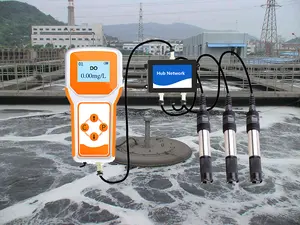 Polarografia di tipo portatile con schermo Online RS485 4G WIFI LORA lorux Fish Farm sensore di ossigeno disciolto d'acqua