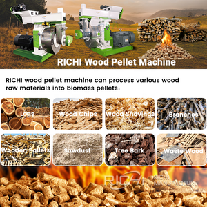 RICHI 每小时500公斤木颗粒机 - 西门子电机 6毫米小型木颗粒机，用于制作木颗粒 - Product Image 4