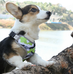 レース犬用ハーネス通気性メッシュソフトエバーキングリバーシブル - Product Image 6