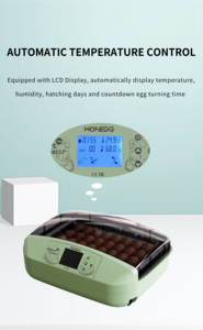 Incubadora de Huevos Totalmente Automática HHD 32, Incubadora para Pollos Pequeños, <span class=keywords><strong>Precio</strong></span> en Camerún - Product Image 6
