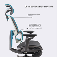 Chaise de bureau exécutive ergonomique moderne en maille, réglable, avec cadre en fer, base en aluminium, dossier pivotant et assise coulissante ajustable