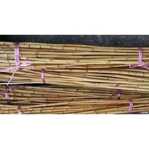 Best Selling CH GLOBAL High Quality Small-Scale Single Layer <b>Agricultural</b> <b>Greenhouses</b> Rattan Cane Material Furniture Natural - Product Image 4