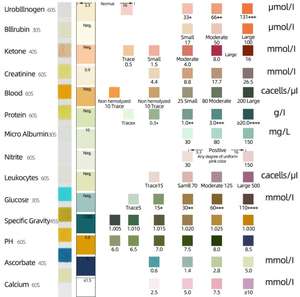 Bandelettes de test de réactif d'analyse d'<span class=keywords><strong>urine</strong></span> 14 paramètres personnalisées Bandelettes de test d'<span class=keywords><strong>urine</strong></span> Protéine PH pour humain - Product Image 2