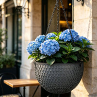 Pot de fleurs suspendu traditionnel de luxe à auto-arrosage avec trous de drainage 4,74 L en PP durable, circulaire, non revêtu