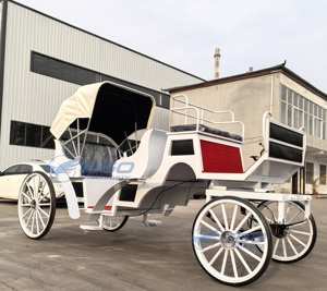 Carrozas Europeas Turísticas con Caballos, Transporte Especial para Visitas Turísticas - Product Image 5