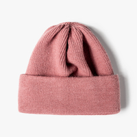 Ventes directes d'usine de 2025 nouvelle plaque acrylique de haute qualité mode Offres Spéciales bonnet chaud tricot chapeaux en Stock