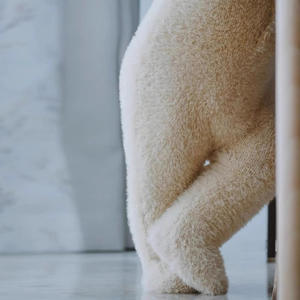 ملابس ومستلزمات أطفال من ييوو بالجملة وكيل مستلزمات الأم والطفل سلسلة ملابس قطعة واحدة ملابس أطفال قطيفة - Product Image 6