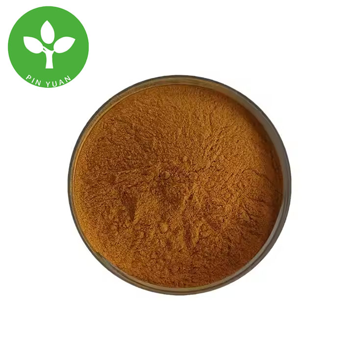 Black Garlic Extract High Quality Black Garlic Extract Powder Black Garlic Powder