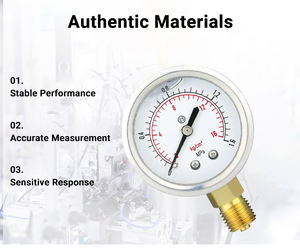 MAIRUIKESI Factory Outlet Glicerol Manômetro Enchido 50mm Pequeno-1-600Bar Manômetro para Gás Líquido - Product Image 4