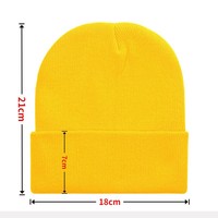 Op maat gemaakte rib gebreide acryl beanie wintermuts met 3D geborduurd patroon unisex reis strandmuts