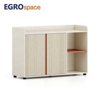 Meuble de rangement haut de gamme EGROspace en bois, armoire de classement verrouillable pour bureau privé