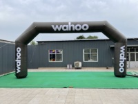Arche gonflable publicitaire sur mesure en Oxford enduit de PVC pour la promotion d'expositions