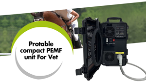 Non Invasive Veterinary Magnetic Therapy Machine Pemf Technology for Animal Inflammation Reduction - Product Image 6