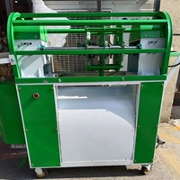 Petite machine à éplucher la canne à sucre automatique, pour usage domestique ou de qualité professionnelle, facile à utiliser