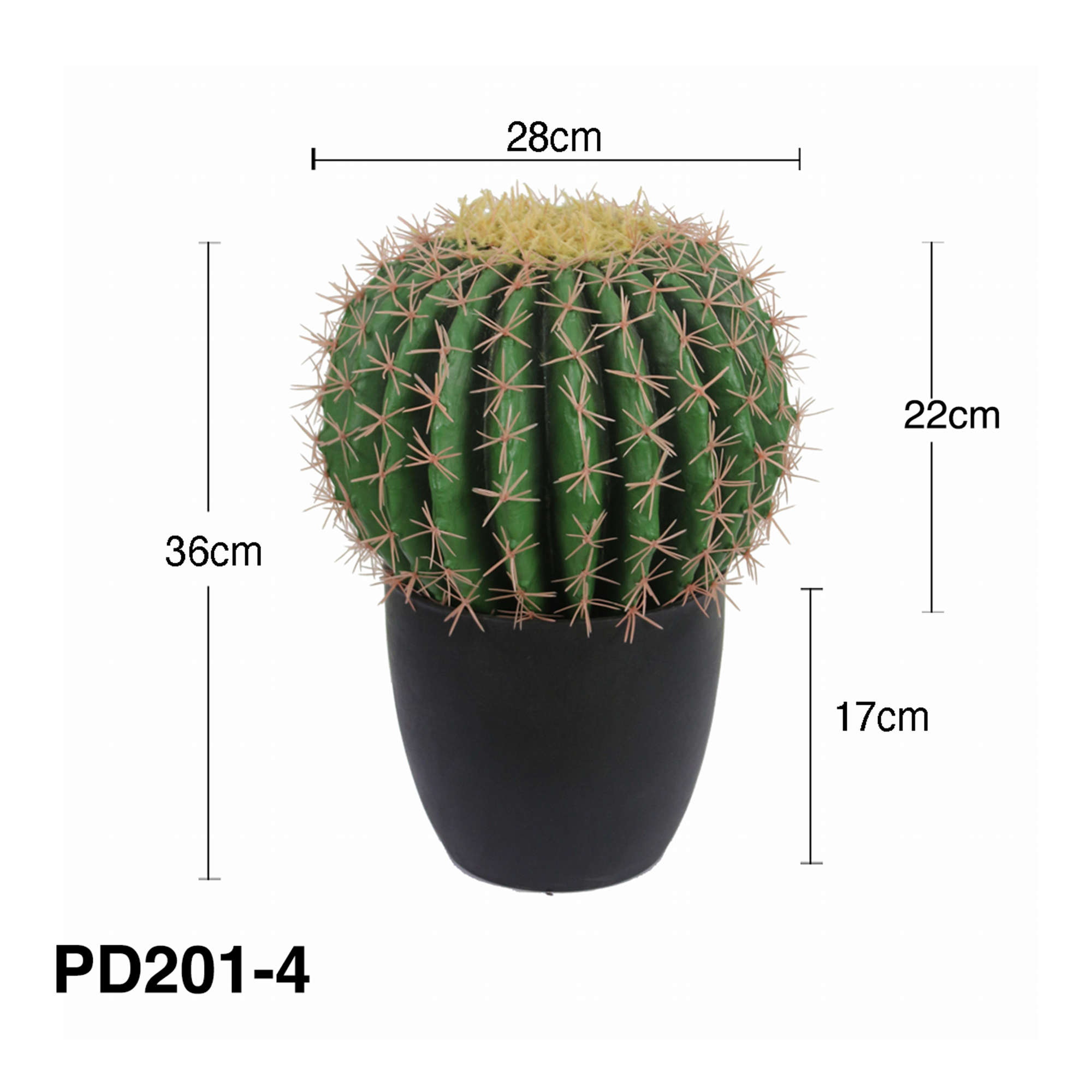 Red horned cactus-28cm