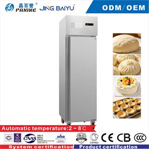Congélateur vertical commercial 400L 885L en acier inoxydable, sans givre, avec bac d'insertion, équipement de cuisine pour restaurant - Product Image 4